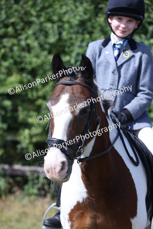20250831-2544 - Class 16 - Family Pony