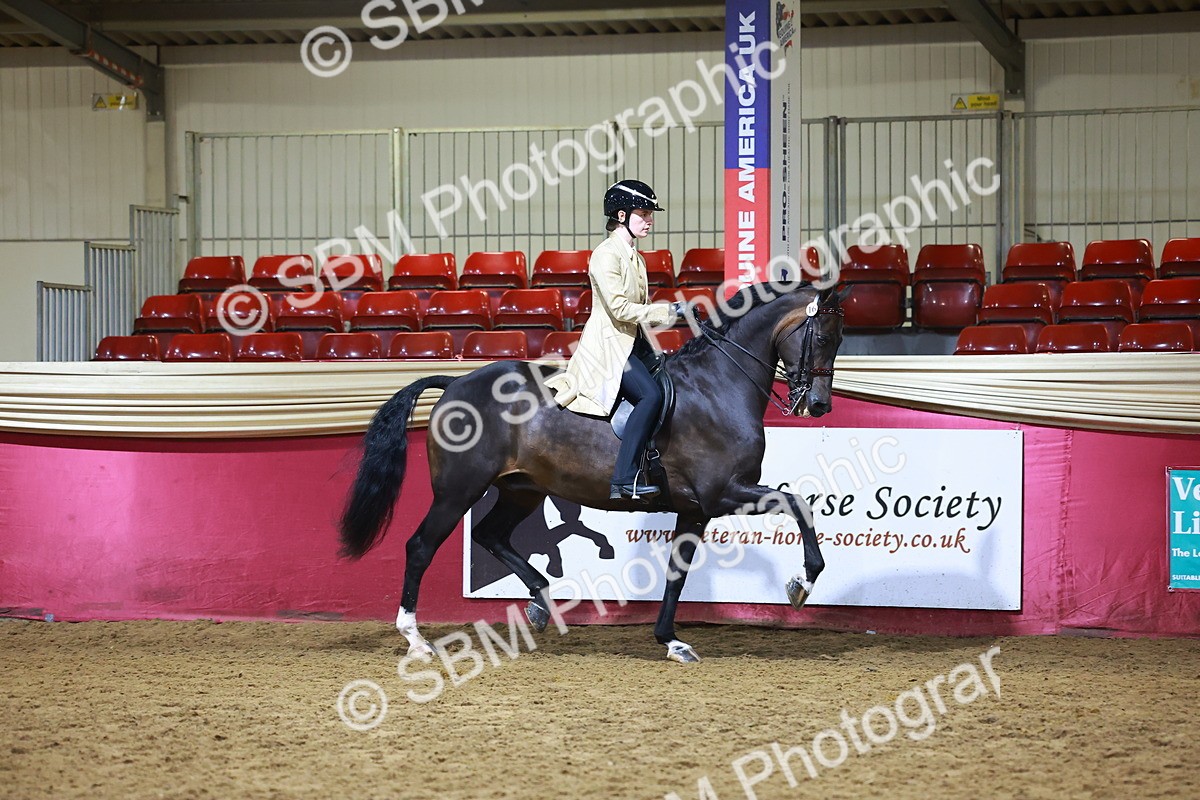 SBM_15494 - Class R - Veteran Champ