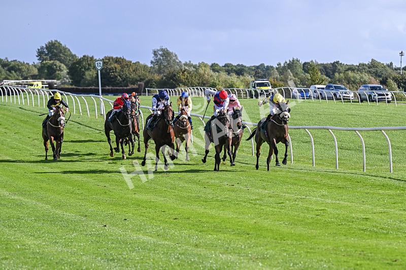 080926-Race 4-Kings Merchant-2481 - Race 4 3.36pm Fifth Regiment Royal Artillery Handicap (Div II)