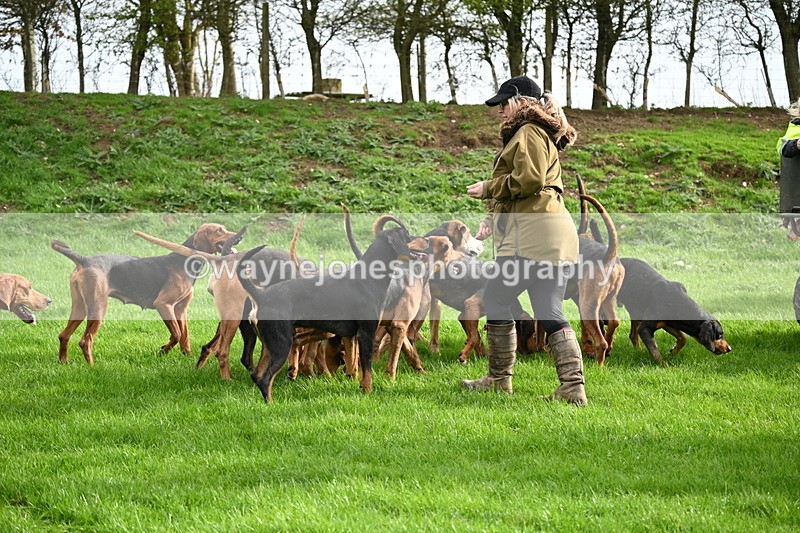 WJ6_9199 - Line Three