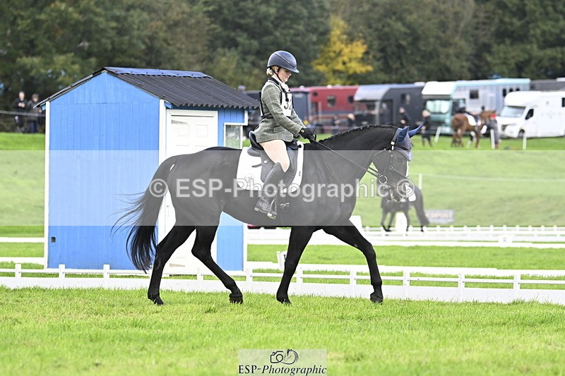 251023A-135423-04181 - D-326-Chloe.Williams