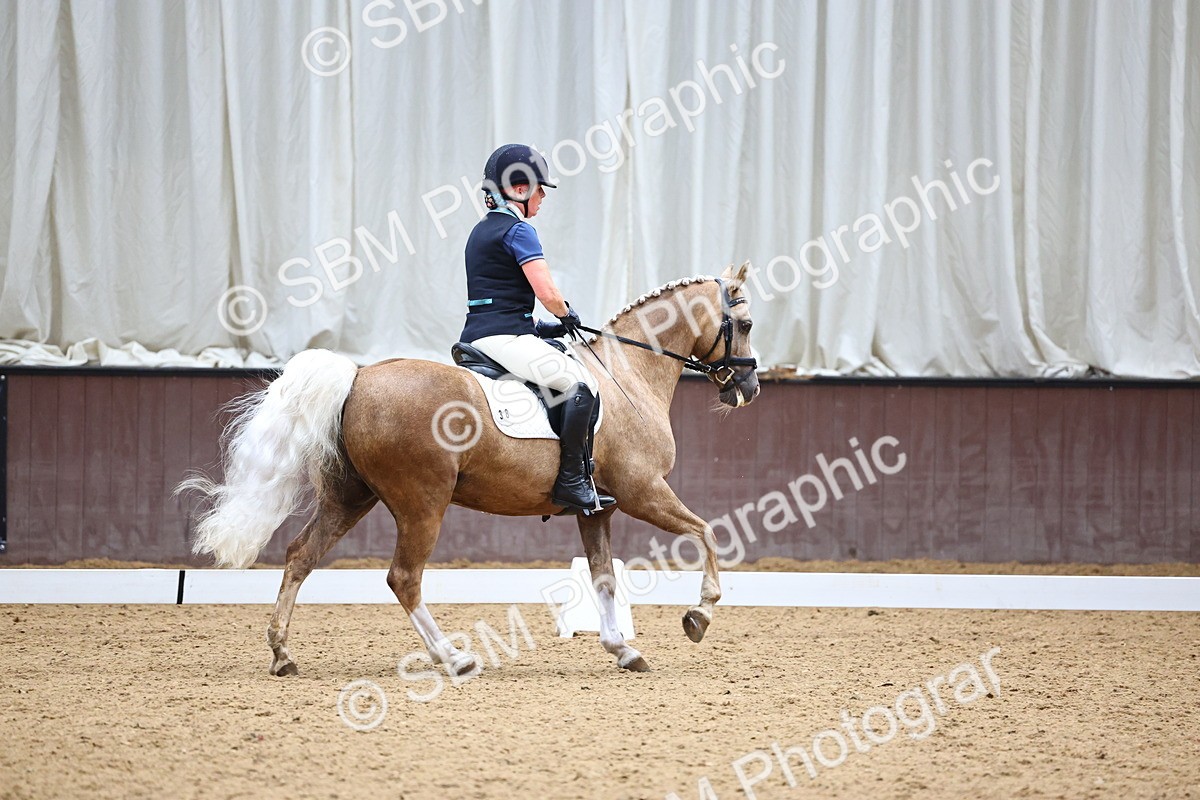 SBM_005582 - Elementary 2