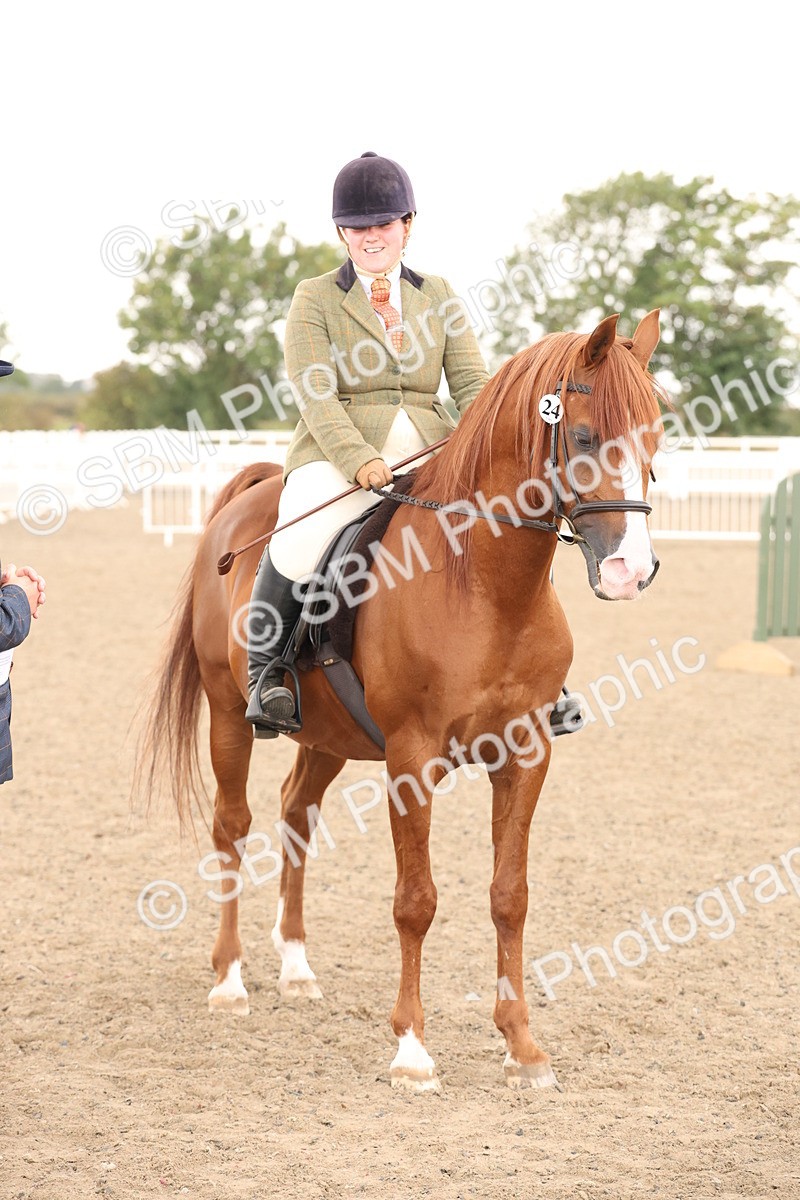 SBM_07581 - Class 59b -  Style & Performance - 80cm (20+)