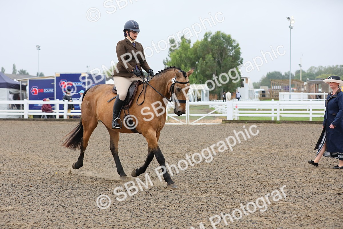 SBM_19910 - Class 801 - Ridden Veteran