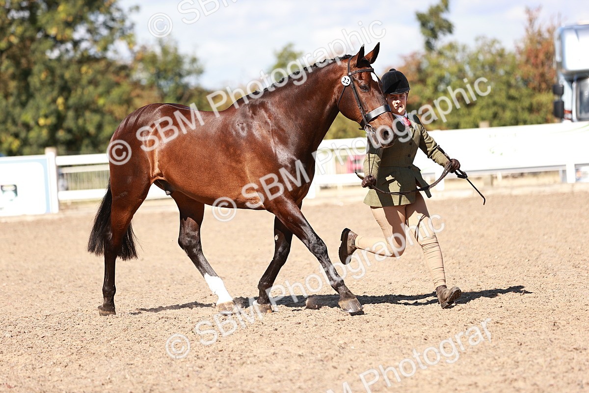 SBM_13280 - class 406 - IH Hunter