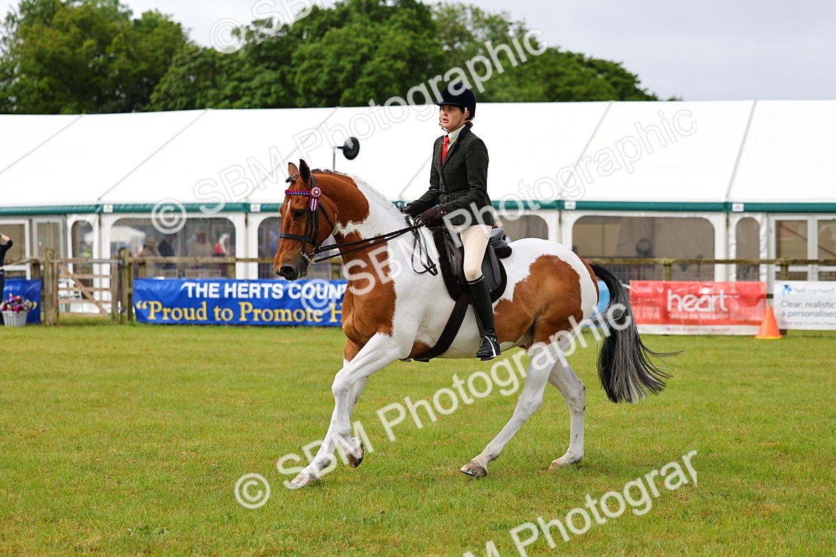 SBM_02524 - Class 9-11 Side Saddle including LIHS Rising Star Ladies Show Horse