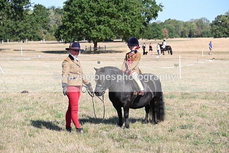 WJ6_7659 - Class 34 Judges Choice