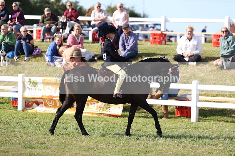 3E7A3780 - Supreme Championship