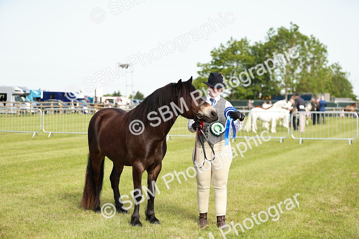 SBM_00655