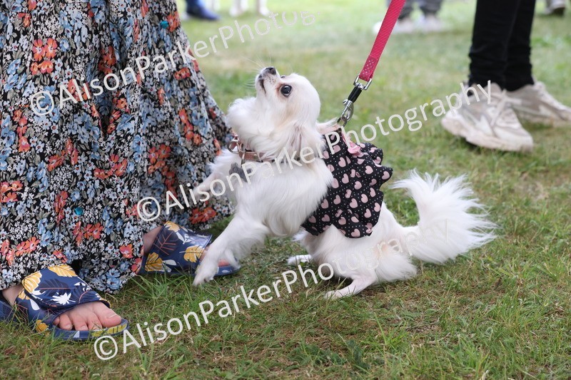 20250607-0201 - Class 4 - Little and Large