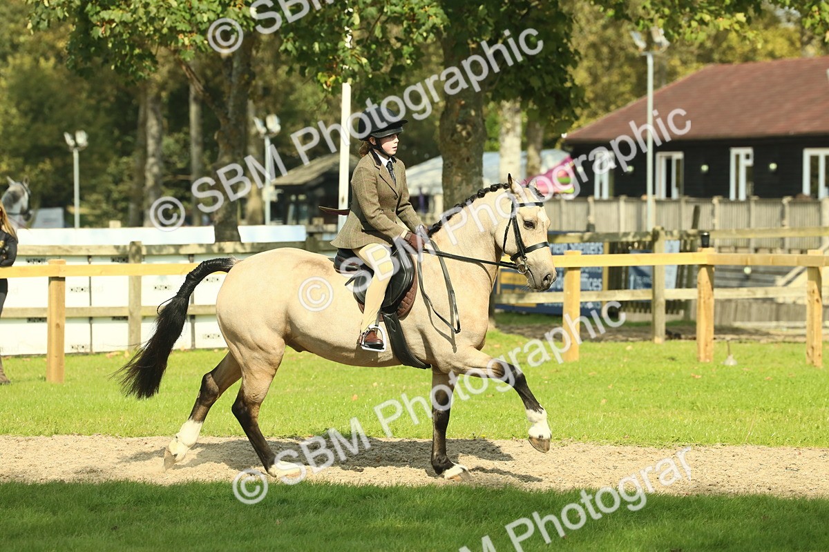 SBM_67637 - S56 - Coloured Pony Ridden