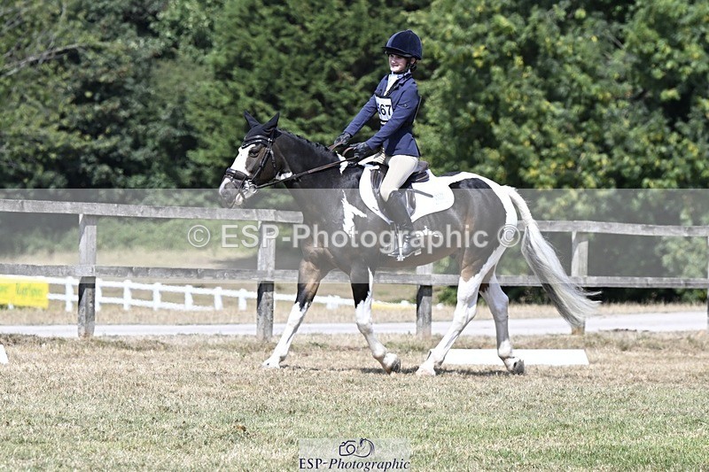 250822A-122013-22708 - DR 11.00 to 12.00