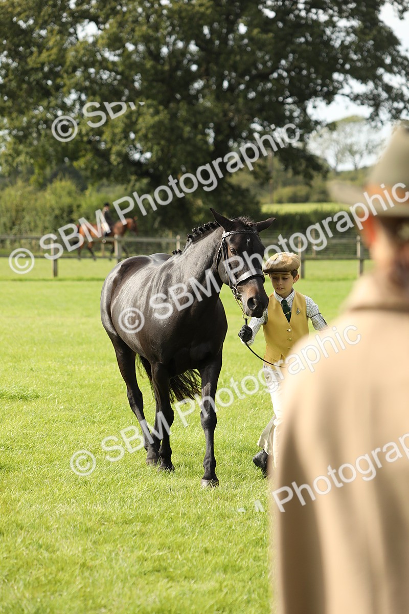 SBM_68689 - S40 - Junior Handler 9-12 Years