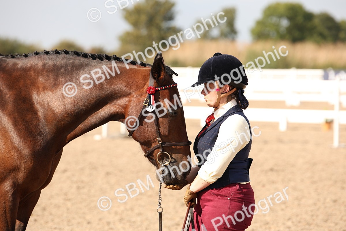 SBM_07430 - Class 26 IH Foreign Breeds -Part bred