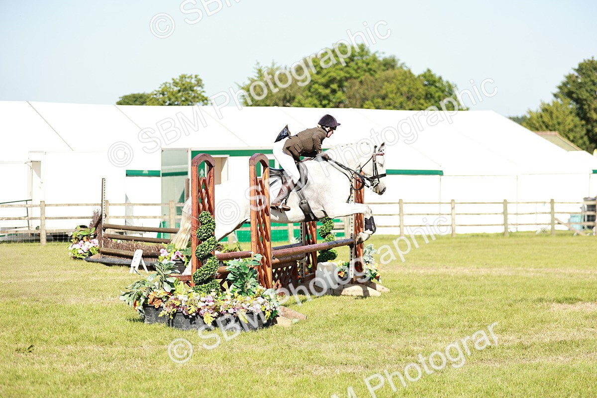 SBM_19173 - Class 115-116 - LIHS BSHA Rising Star Working Hunter & Show Horse