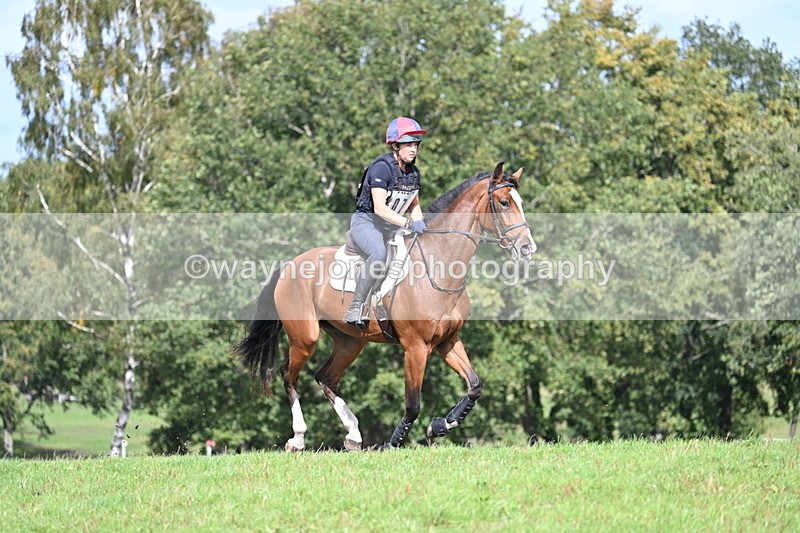 WJ7_1998 - Time 13:17 to 13:53