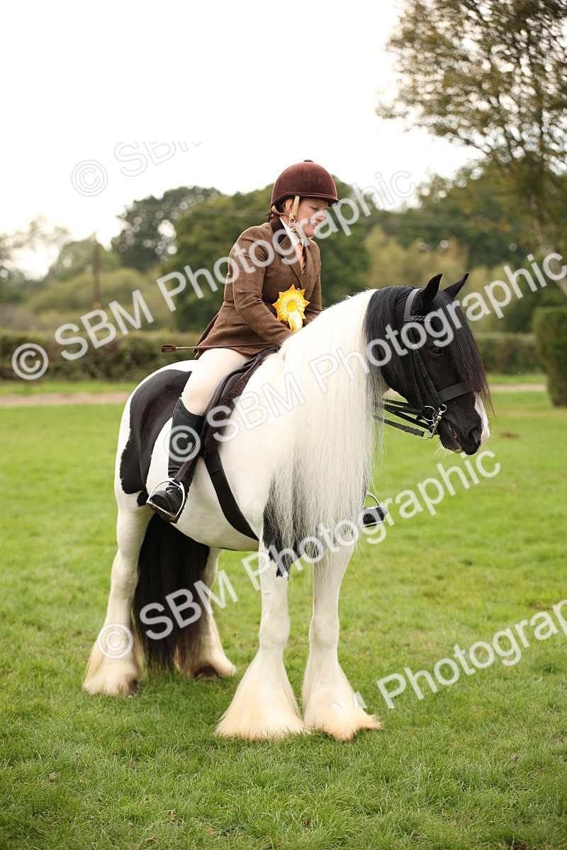 SBM_73589 - S68 - Traditional Cob Ridden