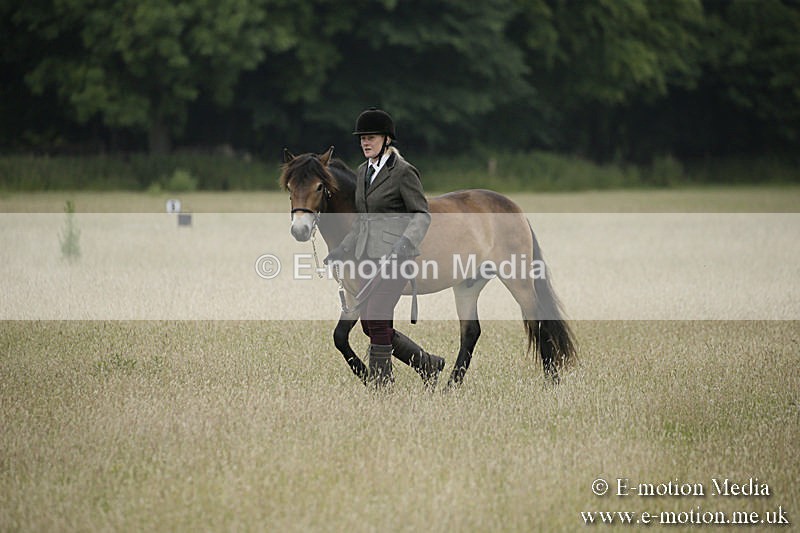 B230619-0001 - Bourne Valley Riding Club Summer Show 23/06/19