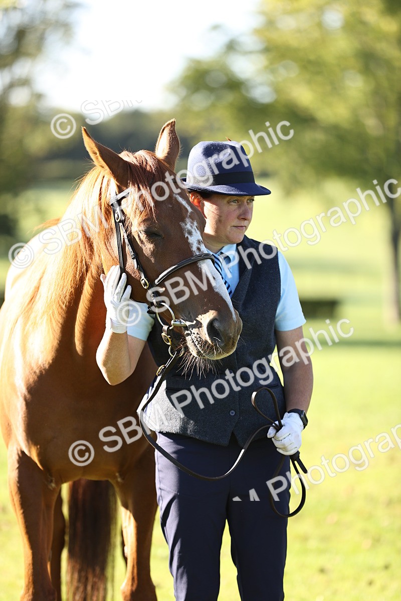 SBM_15779 - S1 - TSR in Hand Horse & Pony Showing