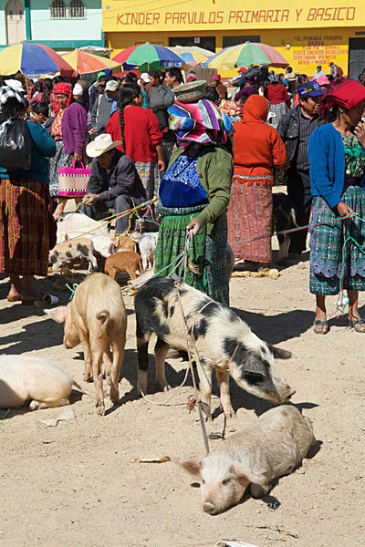  - Guatemala