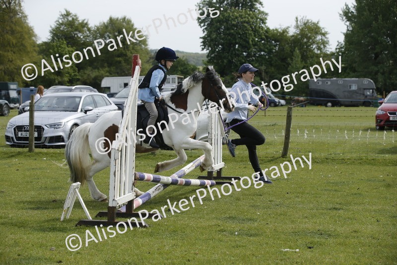 20260426-4692 - Class 5 - Hoof and Foot