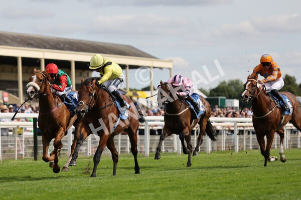 yr08072022r5-9 - Race 5 4.25pm Azets Stakes