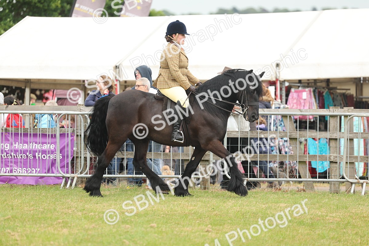 SBM_08911 - Class 78-80 - Ridden M&M Non Welsh Ponies