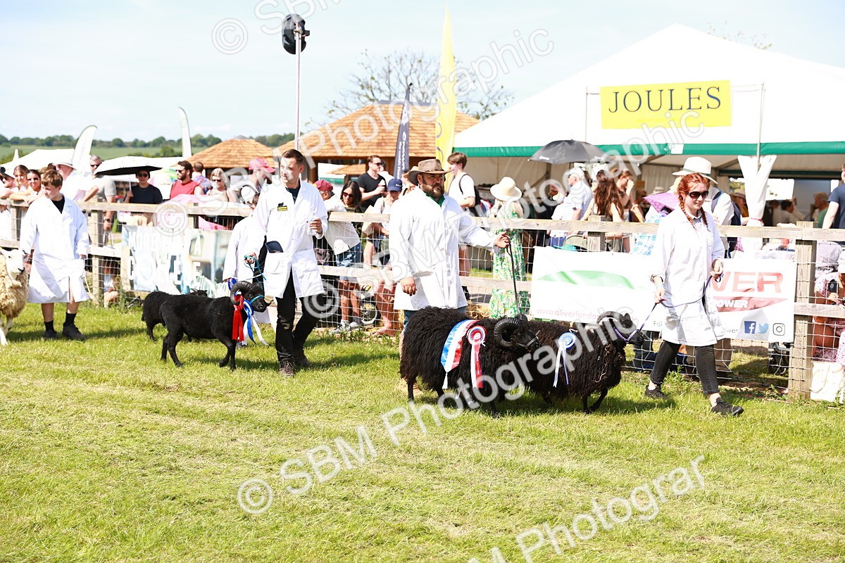 SBM_08296 - Grand Parade