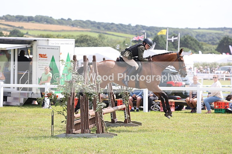 JPP_2076 - Class 19: Working Hunter 60cm