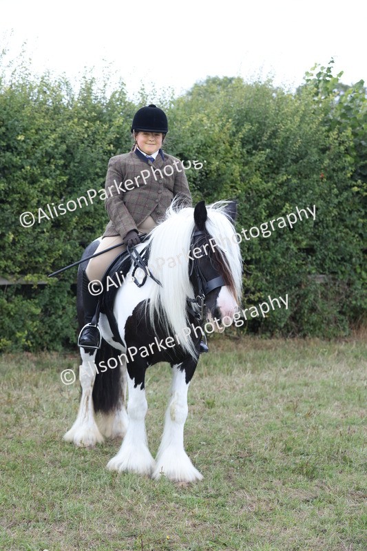 20250831-4306 - Class 20 - Ridden Coloured