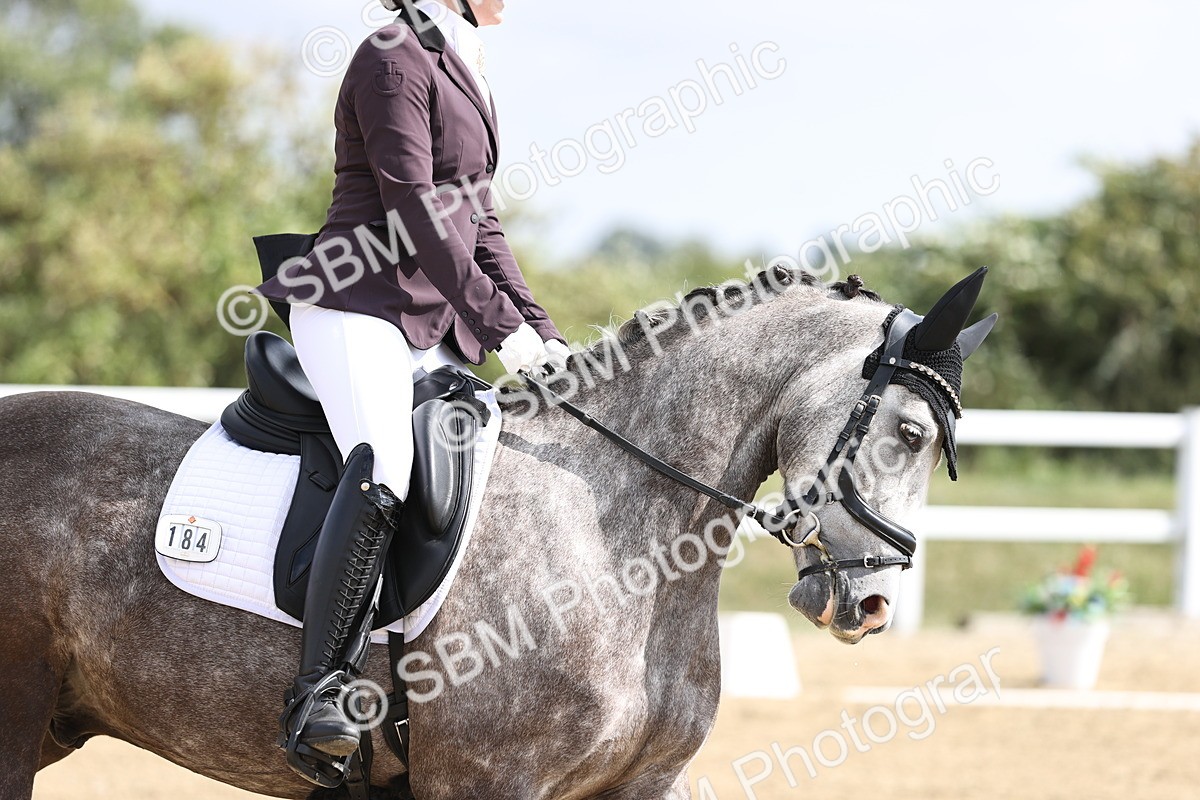 SBM_016252 - Class 14 - Novice 23 - 10.29-11.32