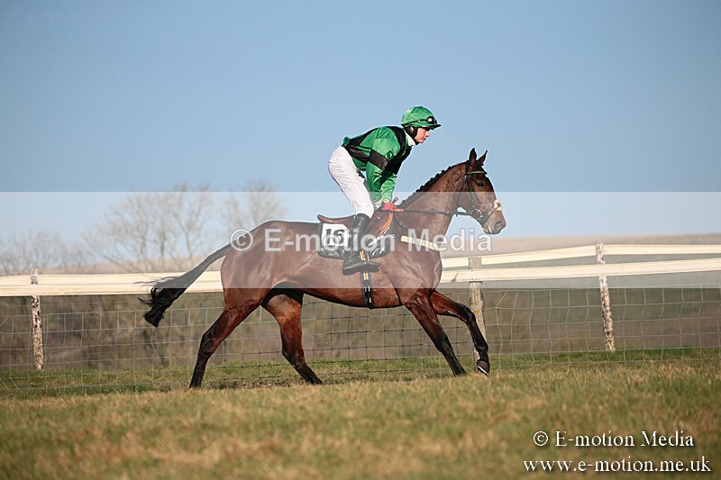 PtP 230219 502 - Vine & Craven Point-To-Point - Barbury 23/02/19