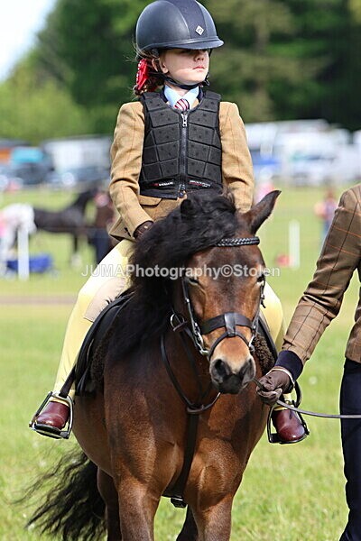 IMG_2154 - Working Hunter