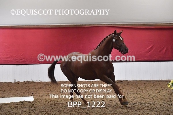 BPP_1222 - MORNING 9AM - 12PM