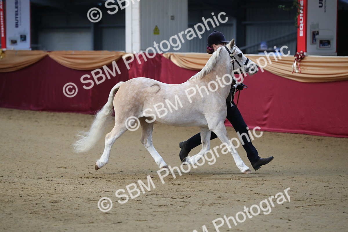 SBM_00354 - Class 1a - Area IH Diamond