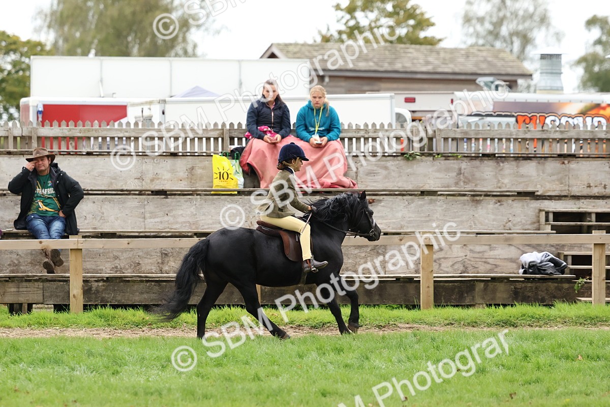 SBM_67469 - S61 - Mountain & Moorland Ridden