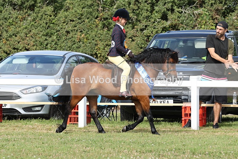 JPP_1052 - Best Rider Championship