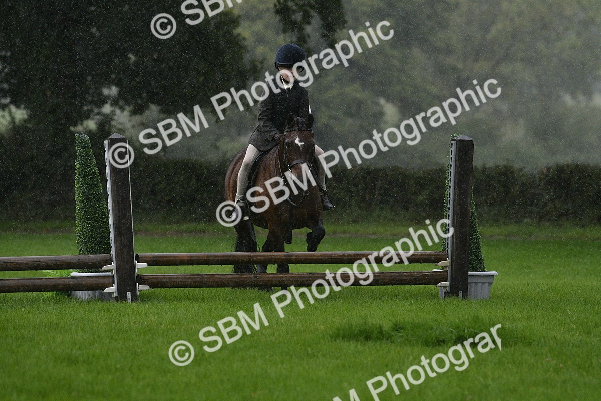 SBM_35491 - S30 - Nursery Stakes Working Hunter Pony