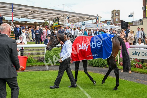 260725-Race 2-Elmonjed-0496 - Race 2 2.00pm Sky Bet Dash Handicap