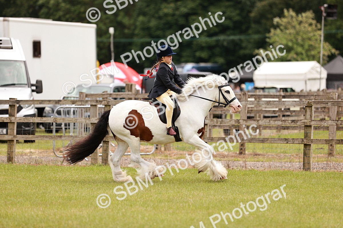 SBM_06235 - Class 39-41 TGCA In Hand and Ridden