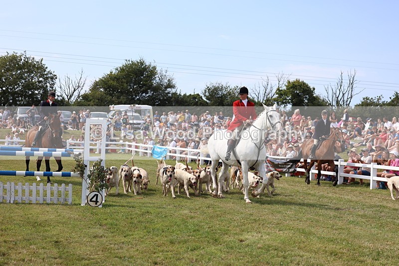 3E7A0135 - Parade of Hounds