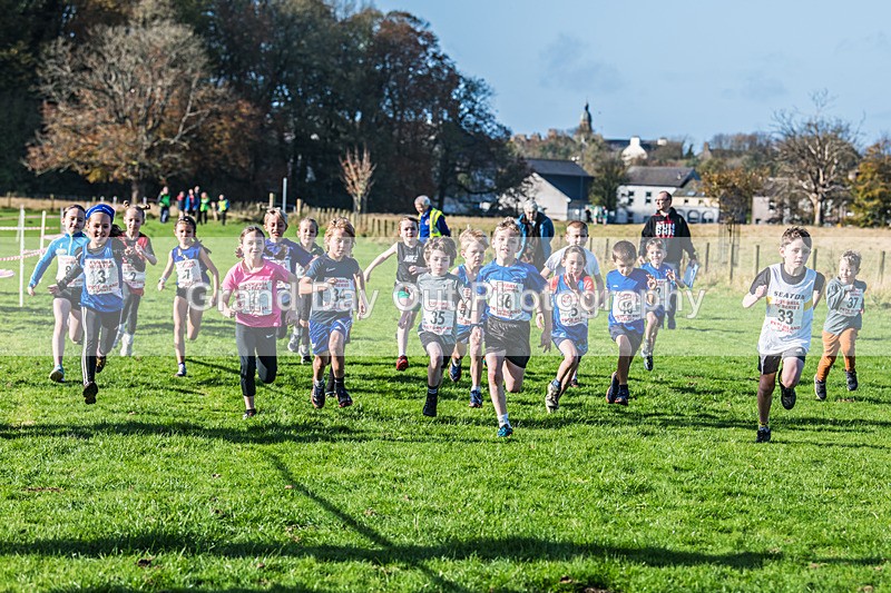 Cumbria XC-8 - Cumbria XC League Workington Saturday 26th October 2024