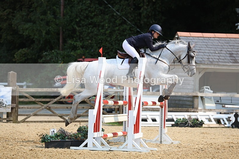 3E7A1357 - Class 4: Senior British Novice/90cm open