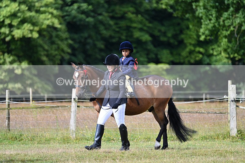 WJ7_4264 - Class 1 Lead Rein Pony