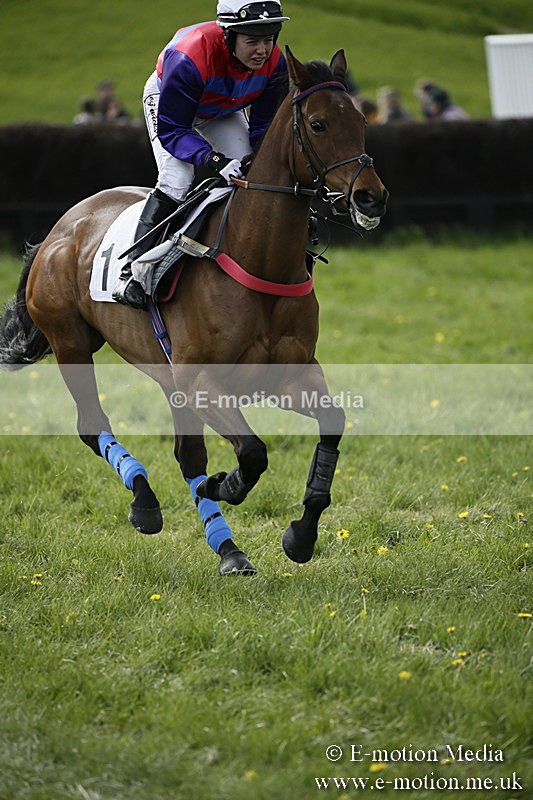 PtP 170417 432 - Old Berks Point-to-Point Lockinge 17/04/17