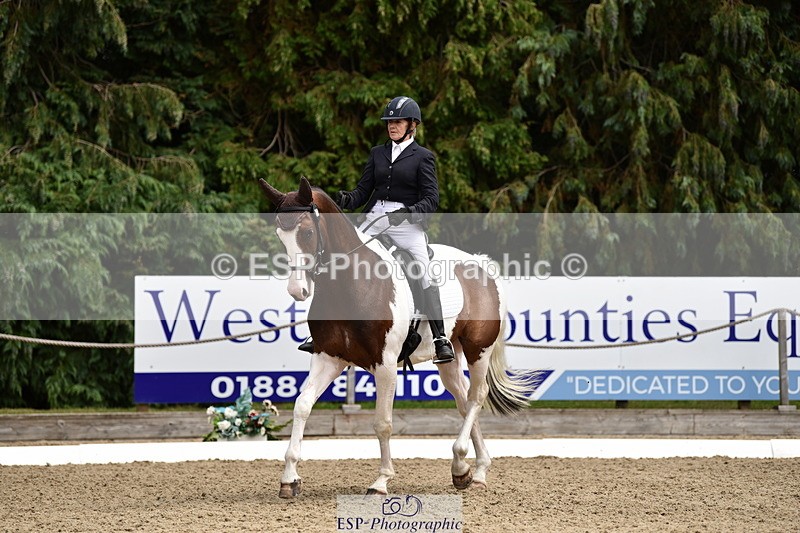 140110A-030614-11164 - 070-Deborah.Randall-Kindred.Spirit