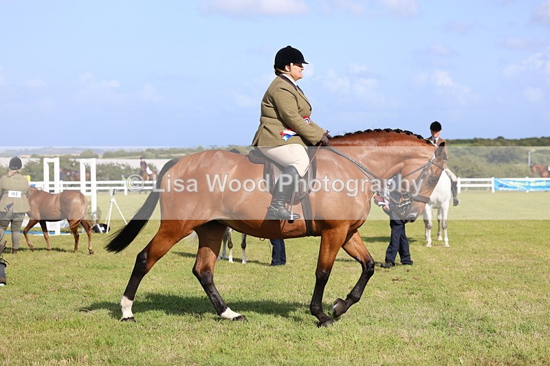 3E7A3983 - Supreme Championship