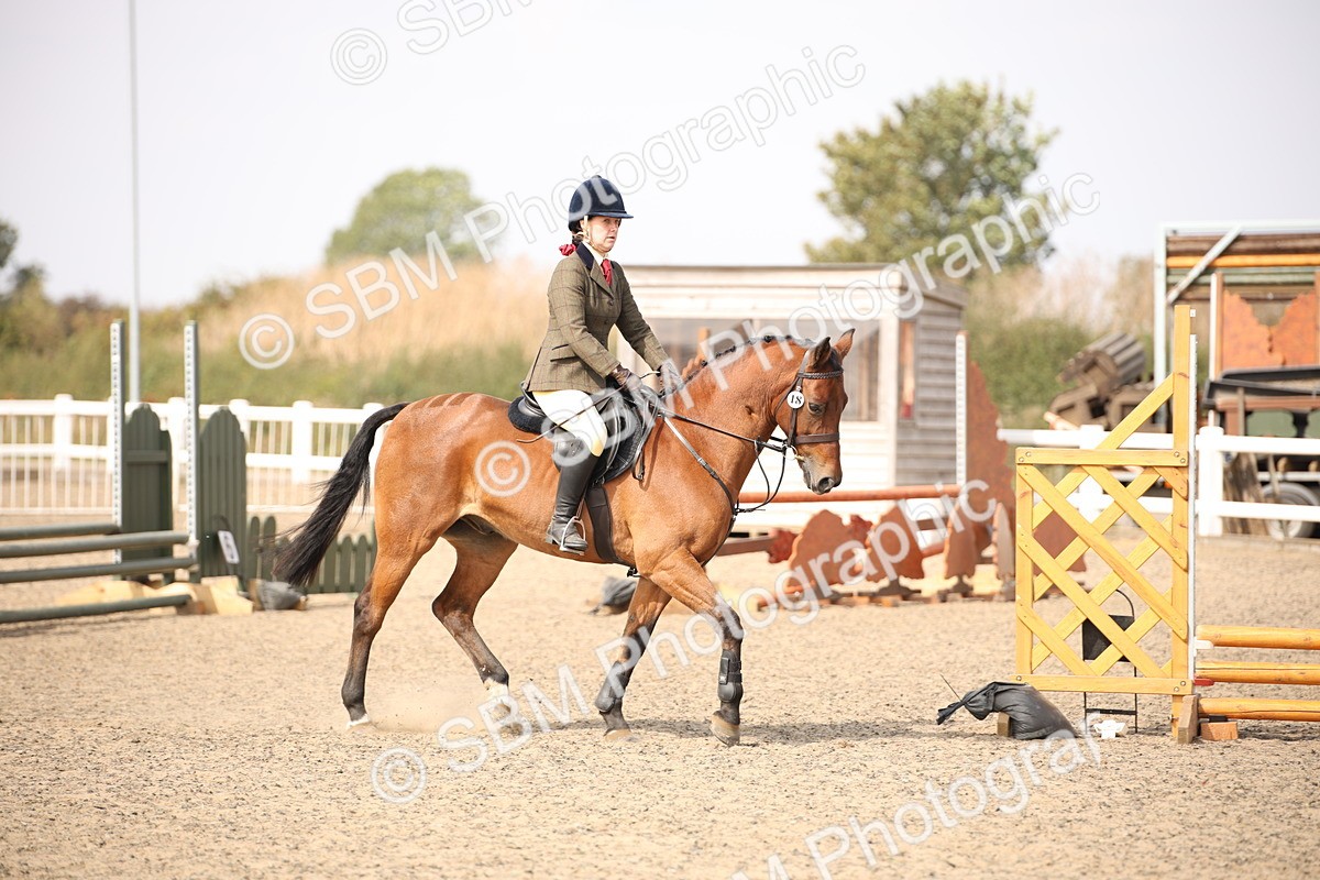 SBM_14137 - Class 407a - Working Veteran 60cm (15-19