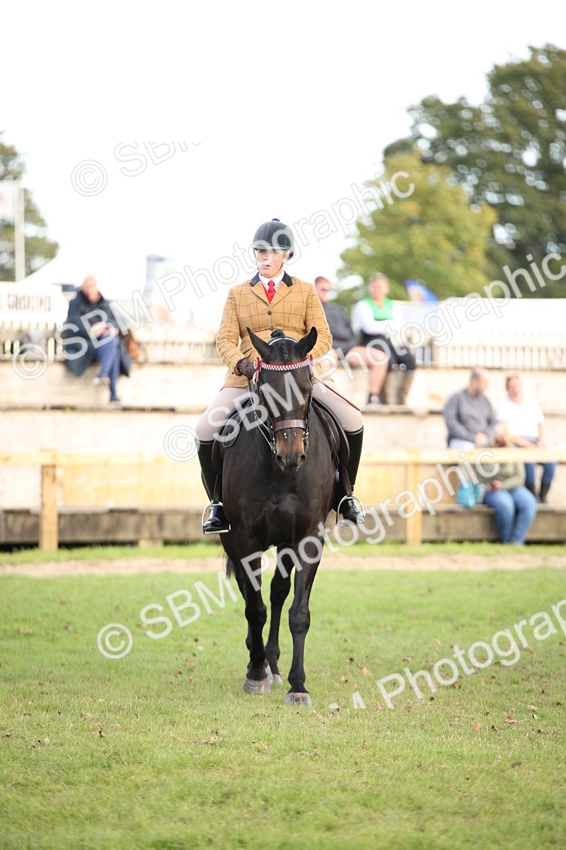 SBM_50228 - S26 - Young Veteran - Ridden