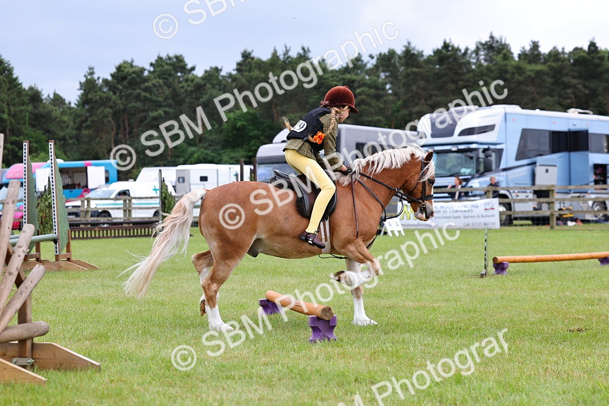 SBM_08742 - Class 42-43 - LIHS BSPS Heritage Working Sports Pony